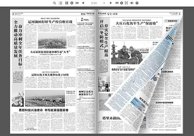 数字报刊